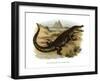 Nile Crocodile-null-Framed Giclee Print