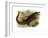 Nile Crocodile-null-Framed Giclee Print