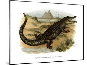 Nile Crocodile-null-Mounted Giclee Print