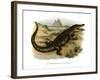 Nile Crocodile-null-Framed Giclee Print