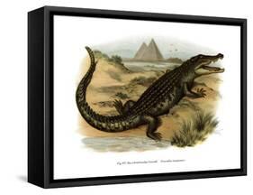 Nile Crocodile-null-Framed Stretched Canvas