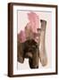 Brown Frame