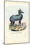 Nilgai, 1863-79-Raimundo Petraroja-Mounted Giclee Print