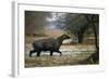 Nilgai - Blue Bull (Boselaphus Tragocamelus) Wading Through Lake, Keoladeo Ghana Np, Bharatpur-Pete Oxford-Framed Photographic Print