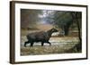 Nilgai - Blue Bull (Boselaphus Tragocamelus) Wading Through Lake, Keoladeo Ghana Np, Bharatpur-Pete Oxford-Framed Photographic Print