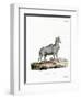 Nilgai-null-Framed Premium Giclee Print