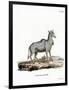 Nilgai-null-Framed Giclee Print