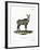 Nilgai-null-Framed Giclee Print