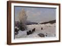 Brown Frame