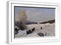 White Frame