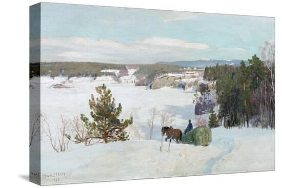 Stretched Canvas Print, , large
