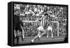 Nils Liedholm Looking at Omar Sivori in San Siro-Sergio del Grande-Framed Stretched Canvas