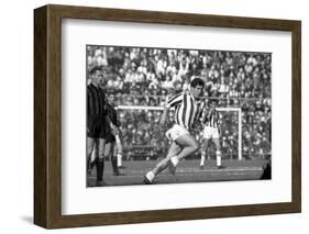 Nils Liedholm Looking at Omar Sivori in San Siro-Sergio del Grande-Framed Photographic Print