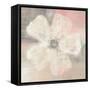 Nimbus Bloom II-Studio Mousseau-Framed Stretched Canvas