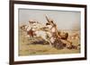 Nimrod, a Mighty Hunter, Illustration from 'The Outline of History' by H.G. Wells, Volume I,…-Briton Rivière-Framed Giclee Print