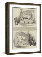 Nimroud Sculptures Just Received at the British Museum-T. D. Scott-Framed Giclee Print