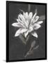 Gramercy Black