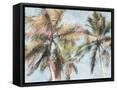 Framed Canvas