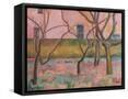 Framed Canvas