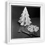 White Frame