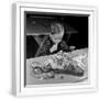 White Frame