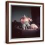 Brown Frame
