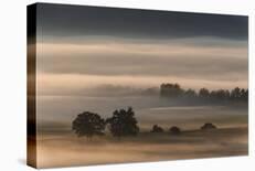 Autumn Morning...-Nina Pauli-Framed Stretched Canvas
