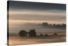 Dense Fog Over The Moos-Nina Pauli-Laminated Giclee Print