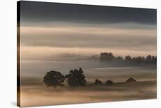 Autumn Morning...-Nina Pauli-Mounted Photographic Print