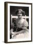 Nina Sevening, British Actress, Early 20th Century-null-Framed Giclee Print