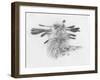 Nine 2 Five-Barbara Keith-Framed Giclee Print