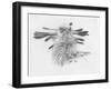 Nine 2 Five-Barbara Keith-Framed Giclee Print