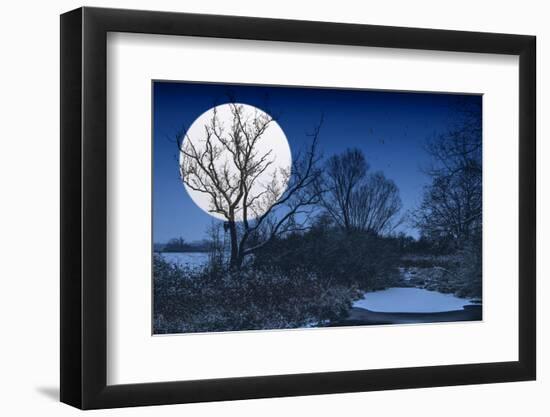 Nine Below Zero-Philippe Sainte-Laudy-Framed Photographic Print