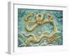 Nine Dragon Wall, Forbidden City, Beijing, China, Asia-Gina Corrigan-Framed Photographic Print