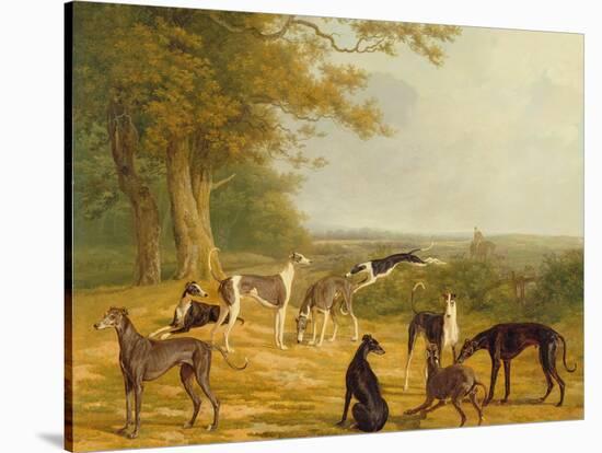 Nine Greyhounds in a Landscape-Jacques-Laurent Agasse-Stretched Canvas