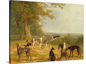 Nine Greyhounds in a Landscape-Jacques-Laurent Agasse-Stretched Canvas