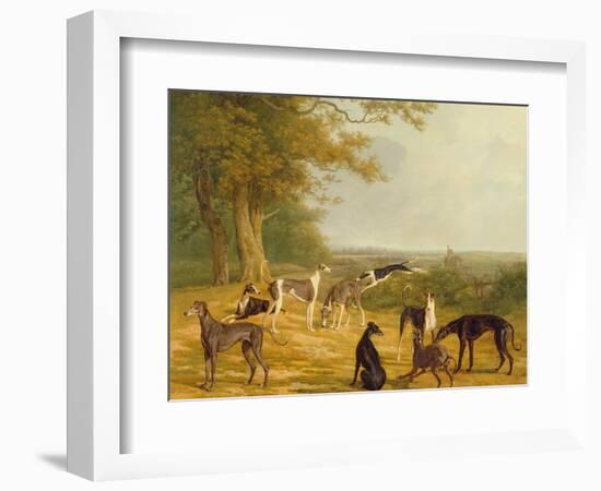 Nine Greyhounds in a Landscape-Jacques-Laurent Agasse-Framed Giclee Print