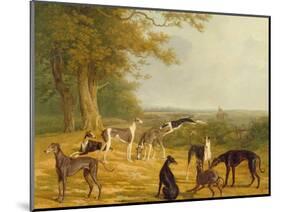 Nine Greyhounds in a Landscape-Jacques-Laurent Agasse-Mounted Giclee Print