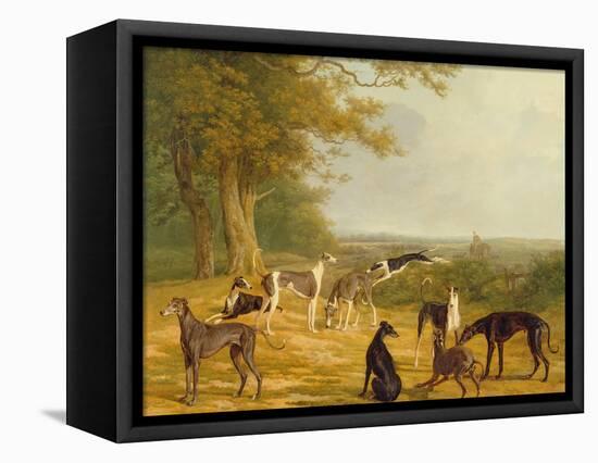 Nine Greyhounds in a Landscape-Jacques-Laurent Agasse-Framed Stretched Canvas