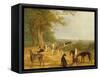 Nine Greyhounds in a Landscape-Jacques-Laurent Agasse-Framed Stretched Canvas