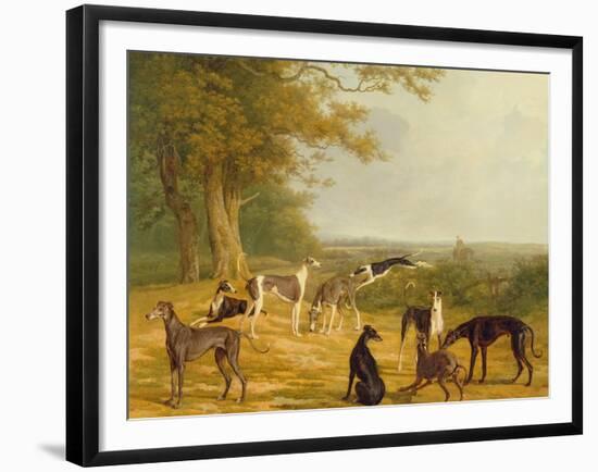 Nine Greyhounds in a Landscape-Jacques-Laurent Agasse-Framed Giclee Print