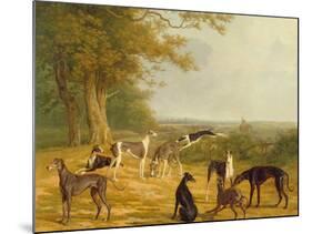Nine Greyhounds in a Landscape-Jacques-Laurent Agasse-Mounted Giclee Print