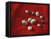 Nine large pearls-Werner Forman-Framed Stretched Canvas