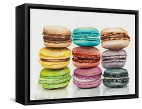 Nine Macaroons-Jennifer Redstreake Geary-Framed Stretched Canvas