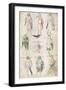 Nine Men from Antiquity, C. 1440-Barthelemy D'eyck-Framed Giclee Print