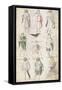 Nine Men from Antiquity, C. 1440-Barthelemy D'eyck-Framed Stretched Canvas