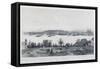 Nine panoramic views of Rio de Janeiro: Da Ilha das Cobras-Philippe Benoist-Framed Stretched Canvas