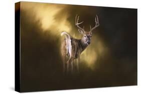 Nine Pointer-Jai Johnson-Stretched Canvas