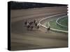 Nine Race Horses-null-Stretched Canvas