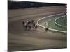 Nine Race Horses-null-Mounted Photographic Print